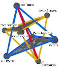 Merk-2B.jpg (24322 octets)