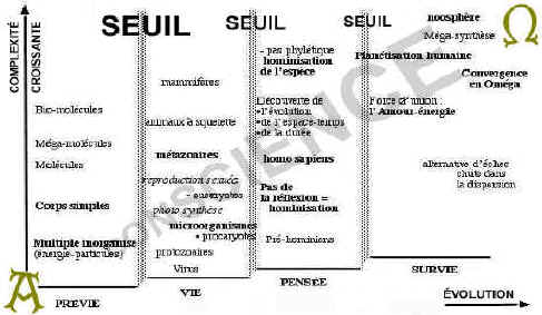 TABLEAU  DES SEUILS